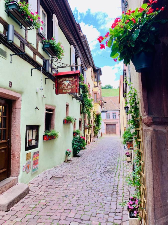 La Ruelle Alsacienne, Charme Alsacien Et Confort Moderne Риквир Екстериор снимка