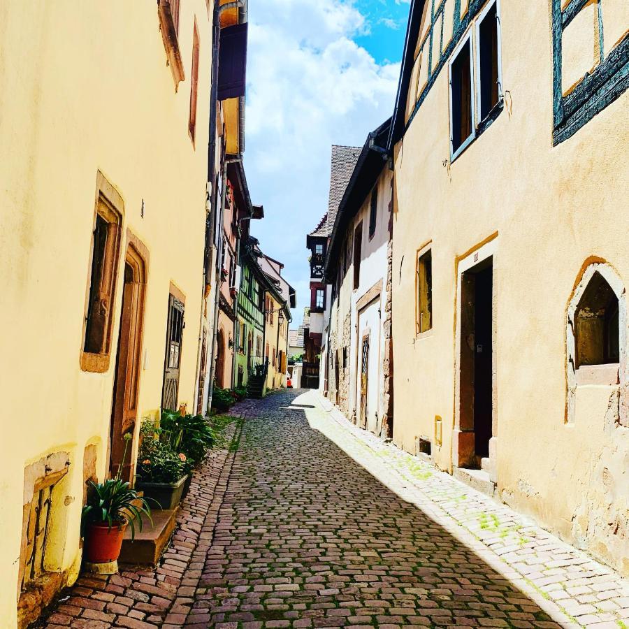 La Ruelle Alsacienne, Charme Alsacien Et Confort Moderne Риквир Екстериор снимка